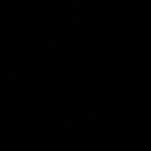 Meet your Posher, Tess